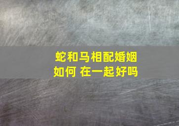 蛇和马相配婚姻如何 在一起好吗